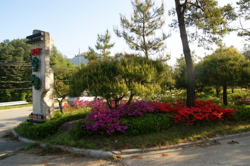 솔향펜션