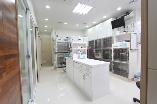 로얄동물병원 대표 이미지