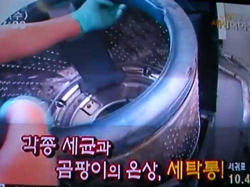 비치움 홈케어 강앤신쿨크리닝