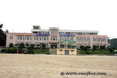 와동초등학교