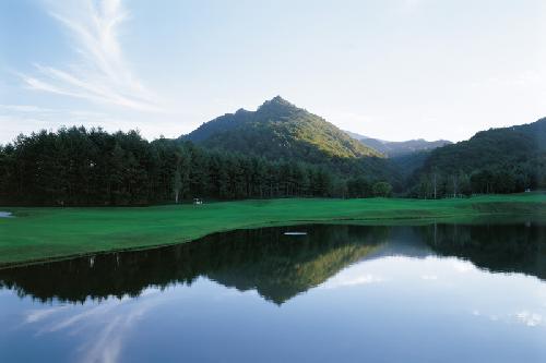 삼일골프투어 대표 이미지