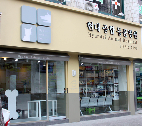 현대종합동물병원 대표 이미지