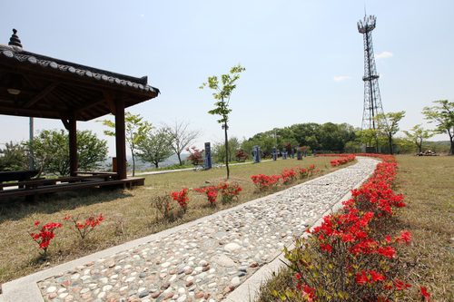 해돋이