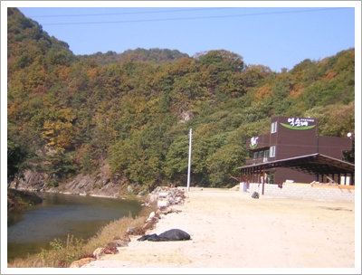 억순네