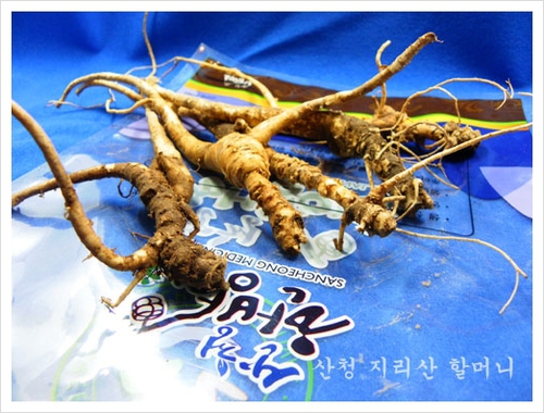 지리산 약초마을