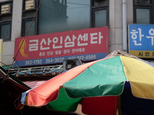 금산인삼