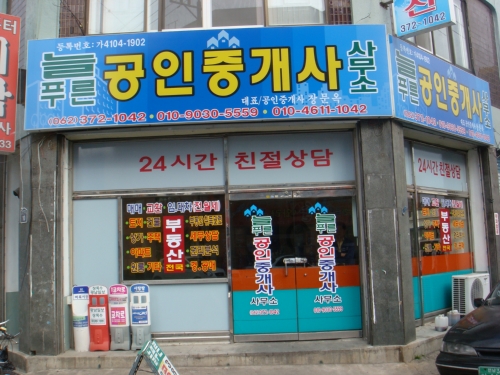 늘푸른공인중개사사무소