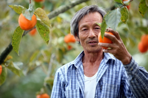 산다골농장