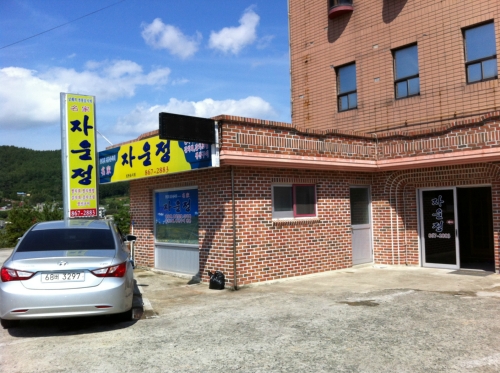 자운정