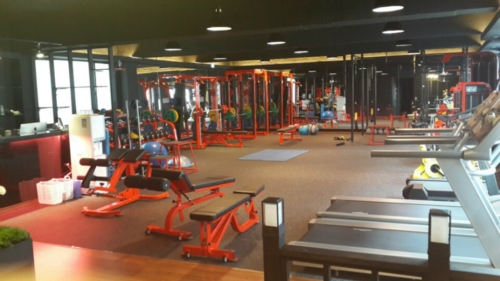 썸바디 대표 이미지