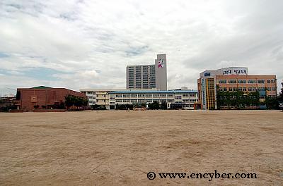 대구신흥초등학교
