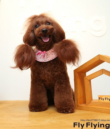 플라이플라잉 대표 이미지