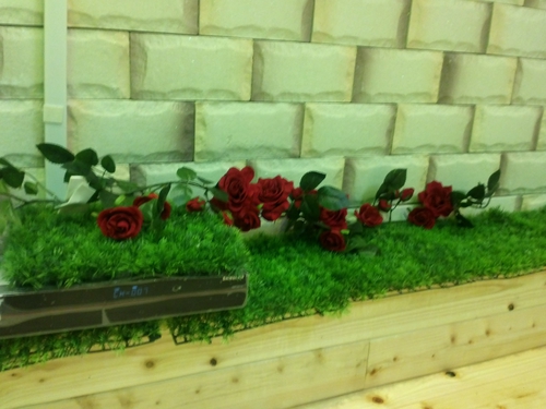 샴태국아로마 photo 5