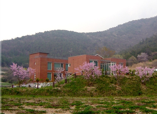 묵방산들국화가공공장