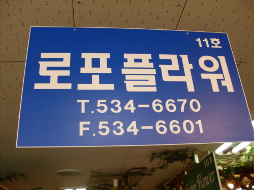 로포플라워디자인