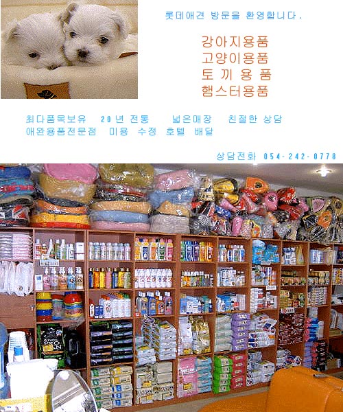 롯데애견