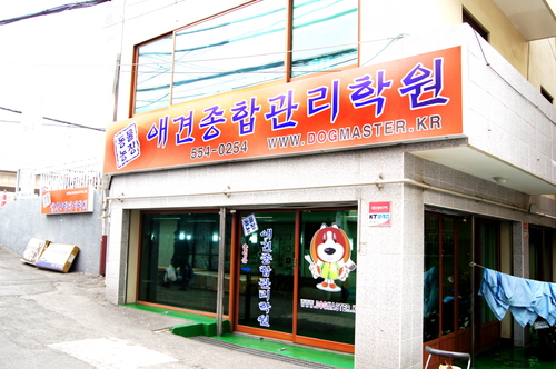 동물농장애견관리학원 대표 이미지