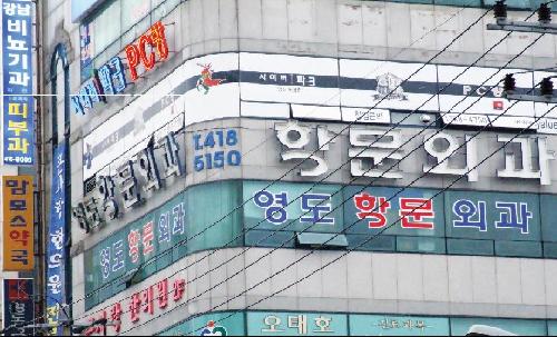 영도항문외과의원