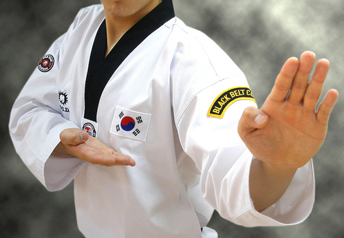 Taegwonhwemilri (태권훼밀리)