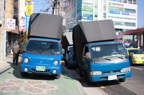 늘푸른화원