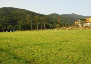 사진 3