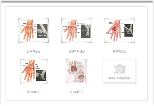 함수영건강지킴이