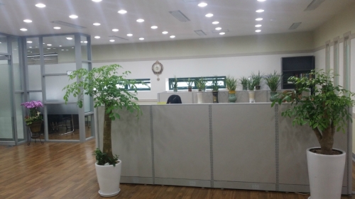 진성세무회계