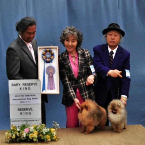 권상국애견미용학원 대표 이미지