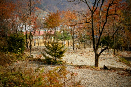 봉봉오토캠핑장