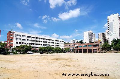 대건고등학교