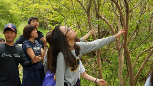 지리산 숲 체험학교