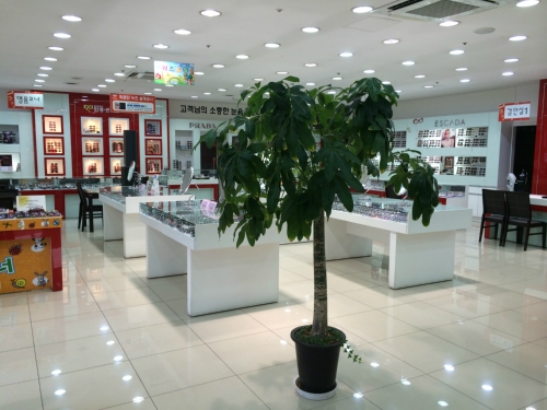 1001안경콘택트 용문점 대표 이미지