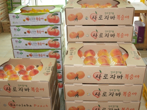 한반도농원