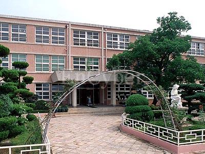 벌교초등학교