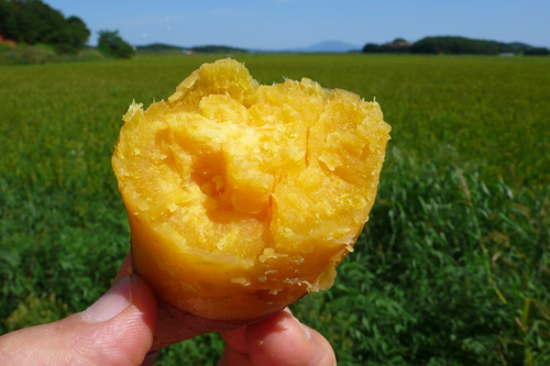 당암농산