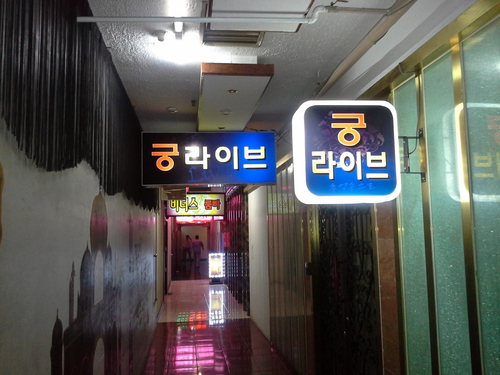 궁라이브