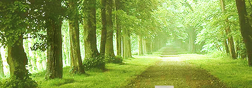 축령정신건강의학과 대표 이미지