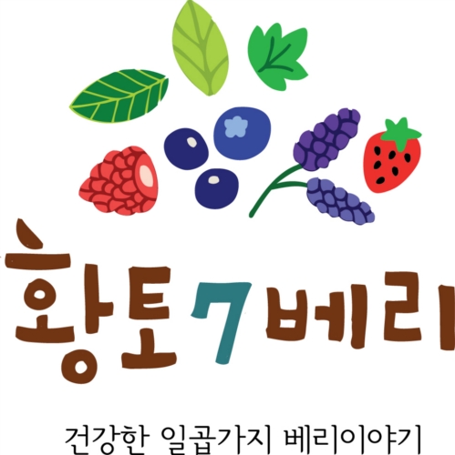 황토7베리