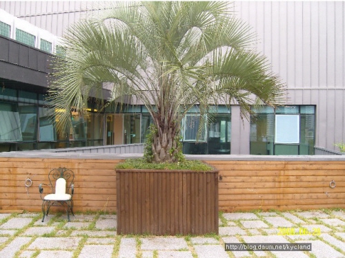우경조경