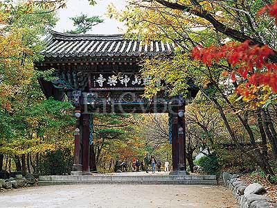 신흥사(설악산)