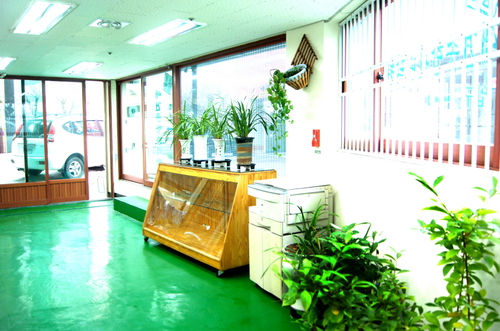 동물농장애견관리학원 대표 이미지