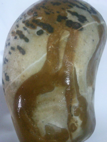 대신종합중기