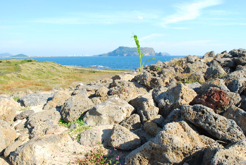 성산일출봉 (Seongsan Ilchulbong Tuff Cone), photo 7