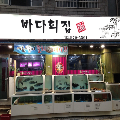 C55 | 서울 중랑구에서 회덮밥맛집 소개합니다 회덮밥전문점 방문해 보세요 바다회집