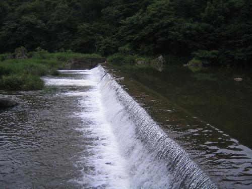 고당솔밭가든