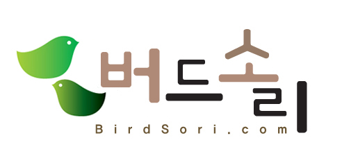 버드소리