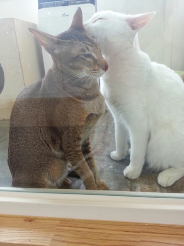 라임동물병원 외관