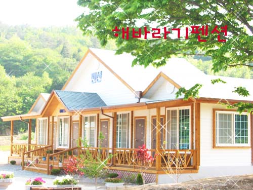 해바라기펜션