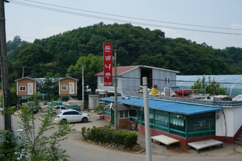 둔전나루매운탕