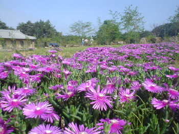 정든오토캠프장